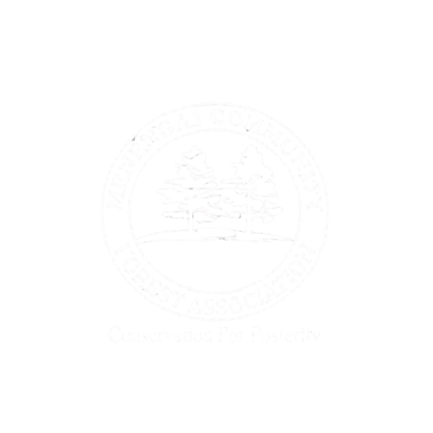 cfa logo (1)