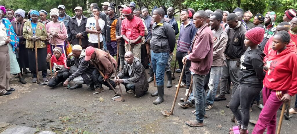 Planting Hope: 10,000 Seedlings Planted at Menengai Forest 480689320 609991145003042 2676896052388193967 n