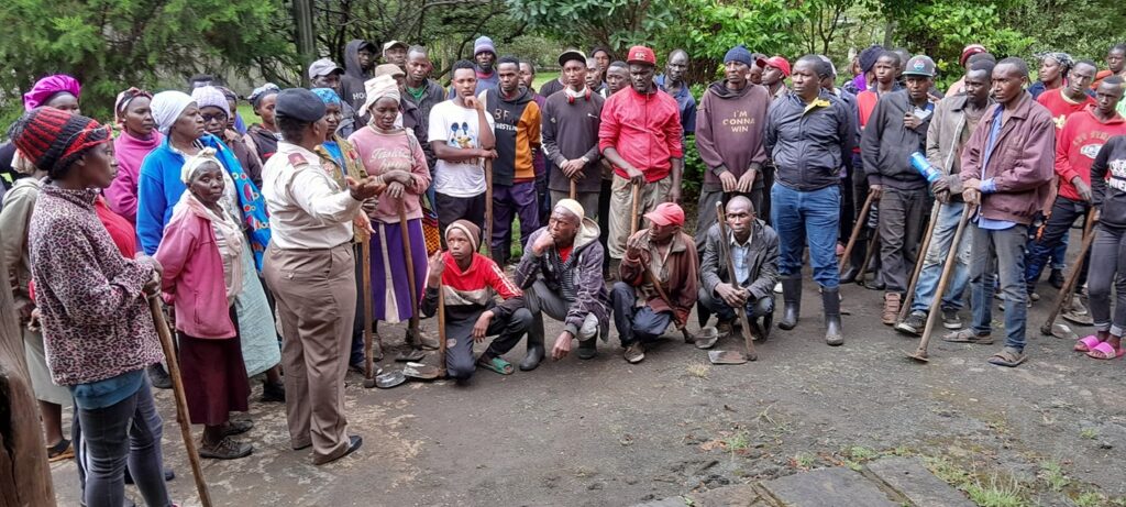 Planting Hope: 10,000 Seedlings Planted at Menengai Forest